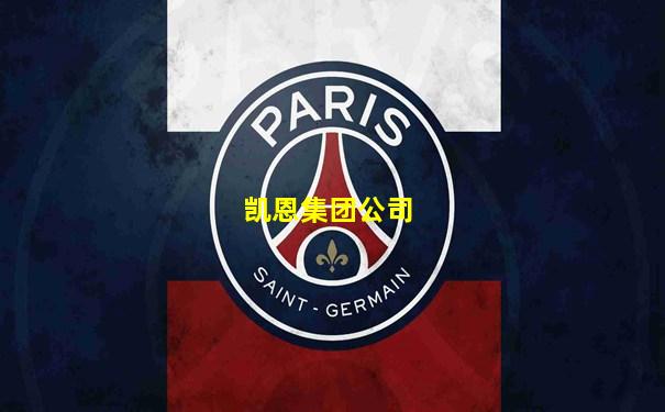 凯恩集团公司