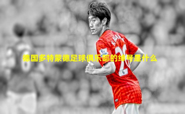 德国多特蒙德足球俱乐部的绰号是什么