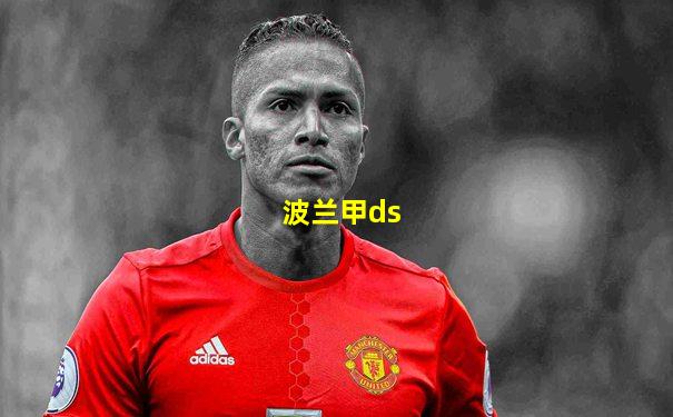 波兰甲ds