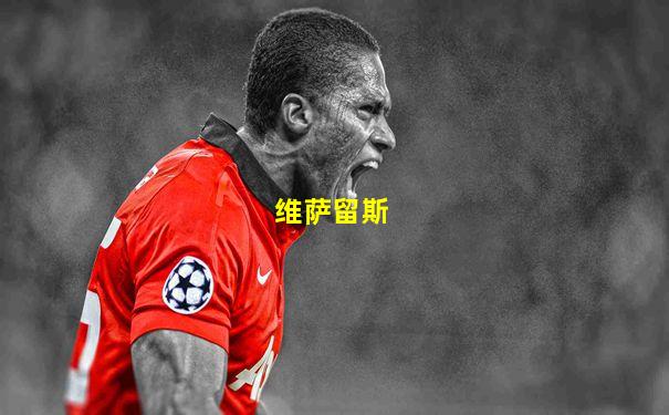 维萨留斯