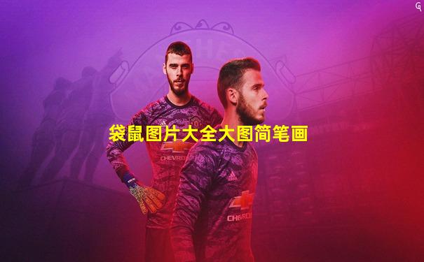 袋鼠图片大全大图简笔画