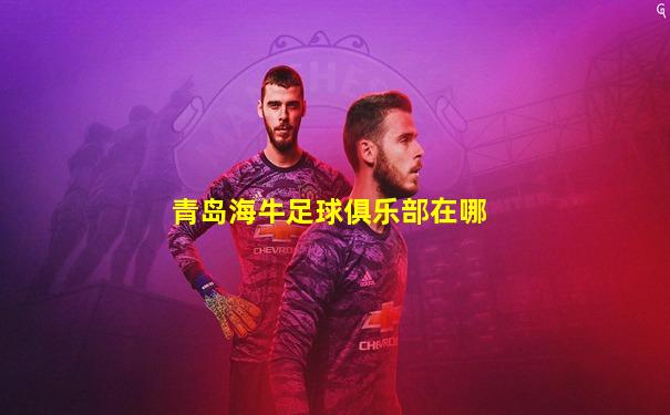 青岛海牛足球俱乐部在哪